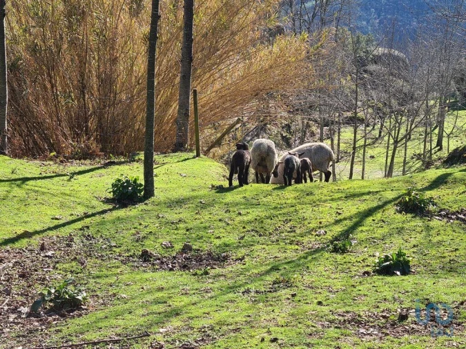 Quinta T2 para Venda em Lagos da Beira e Lajeosa Foto 4