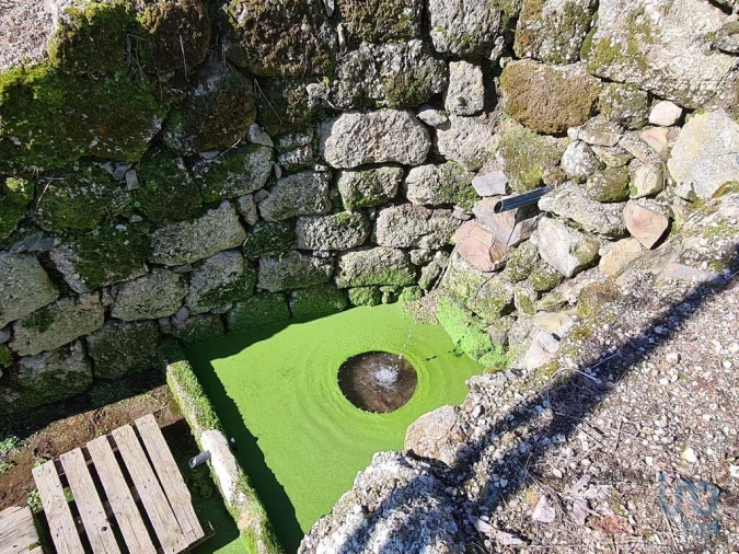 Quinta T2 para Venda em Lagos da Beira e Lajeosa Foto 10