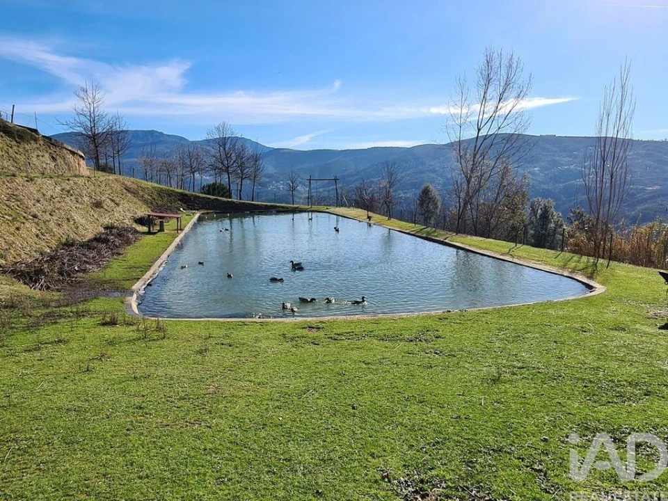 Moradia T2 para Venda em Lagos da Beira e Lajeosa Foto 2