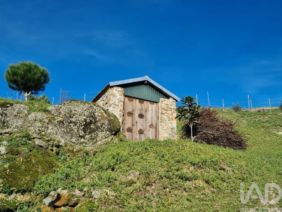 Moradia T2 para Venda em Lagos da Beira e Lajeosa Foto 6