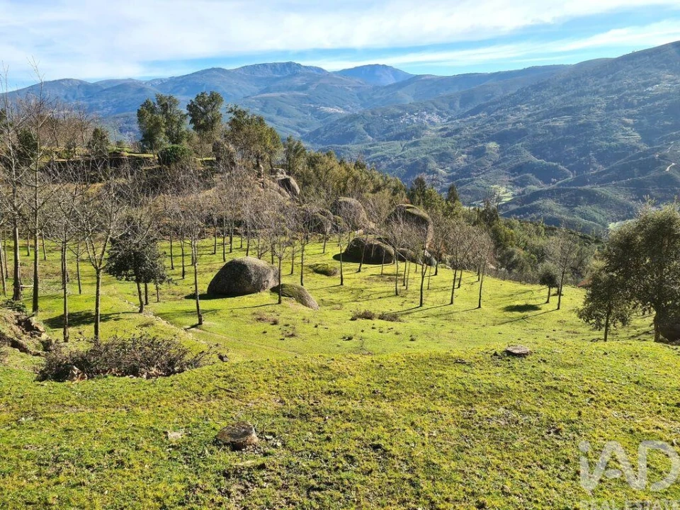 Moradia T2 para Venda em Lagos da Beira e Lajeosa Foto 4