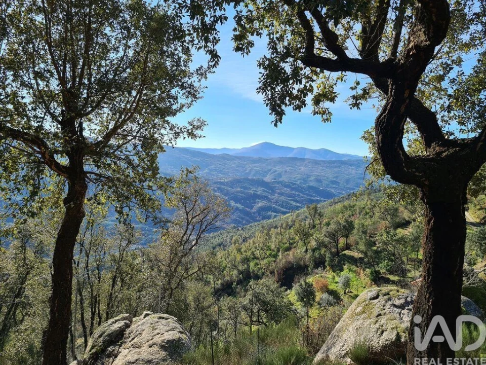 Moradia T2 para Venda em Lagos da Beira e Lajeosa Foto 13