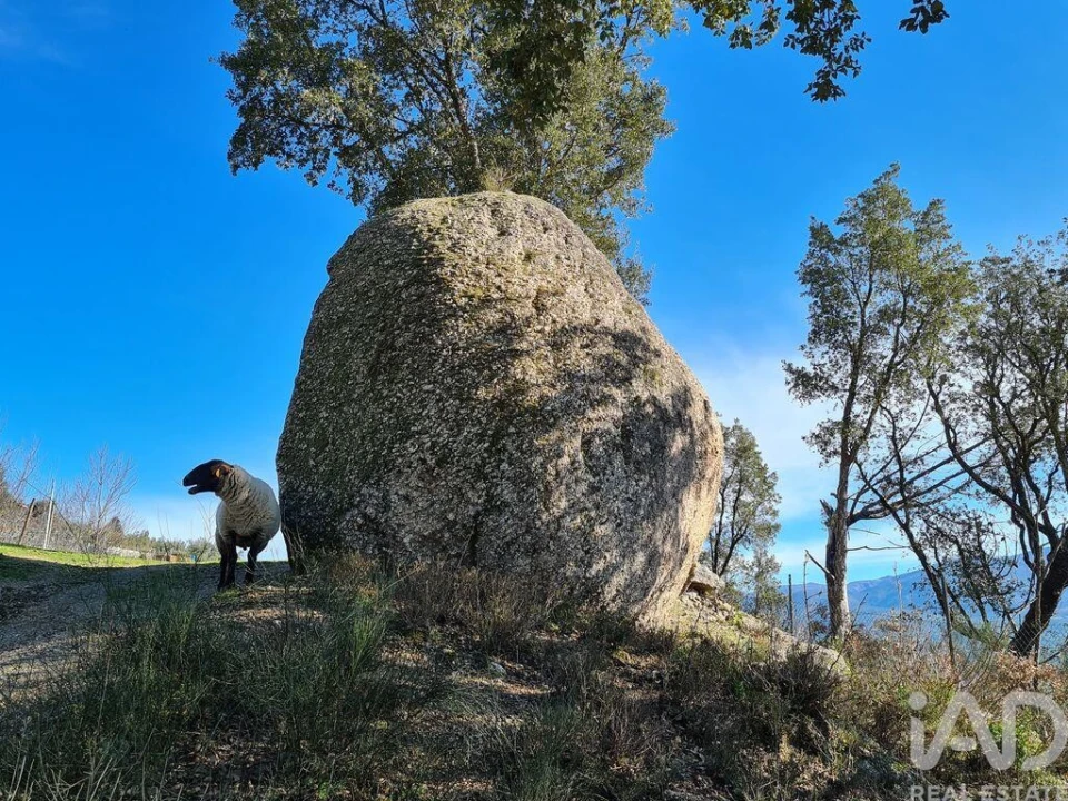 Moradia T2 para Venda em Lagos da Beira e Lajeosa Foto 8