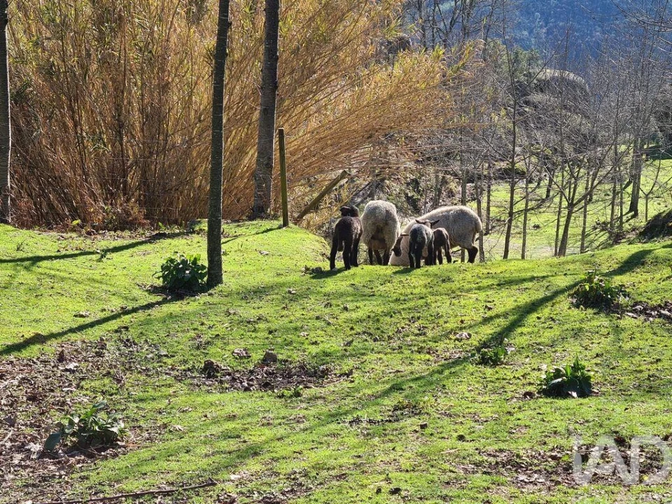 Moradia T2 para Venda em Lagos da Beira e Lajeosa Foto 5