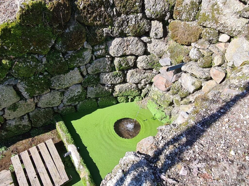 Moradia T2 para Venda em Lagos da Beira e Lajeosa Foto 11