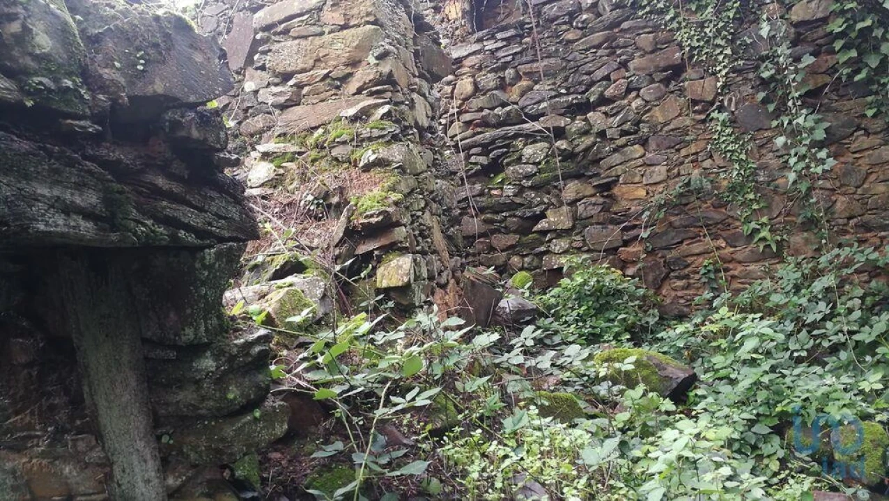 Moradia para Venda em Alvares Foto 6