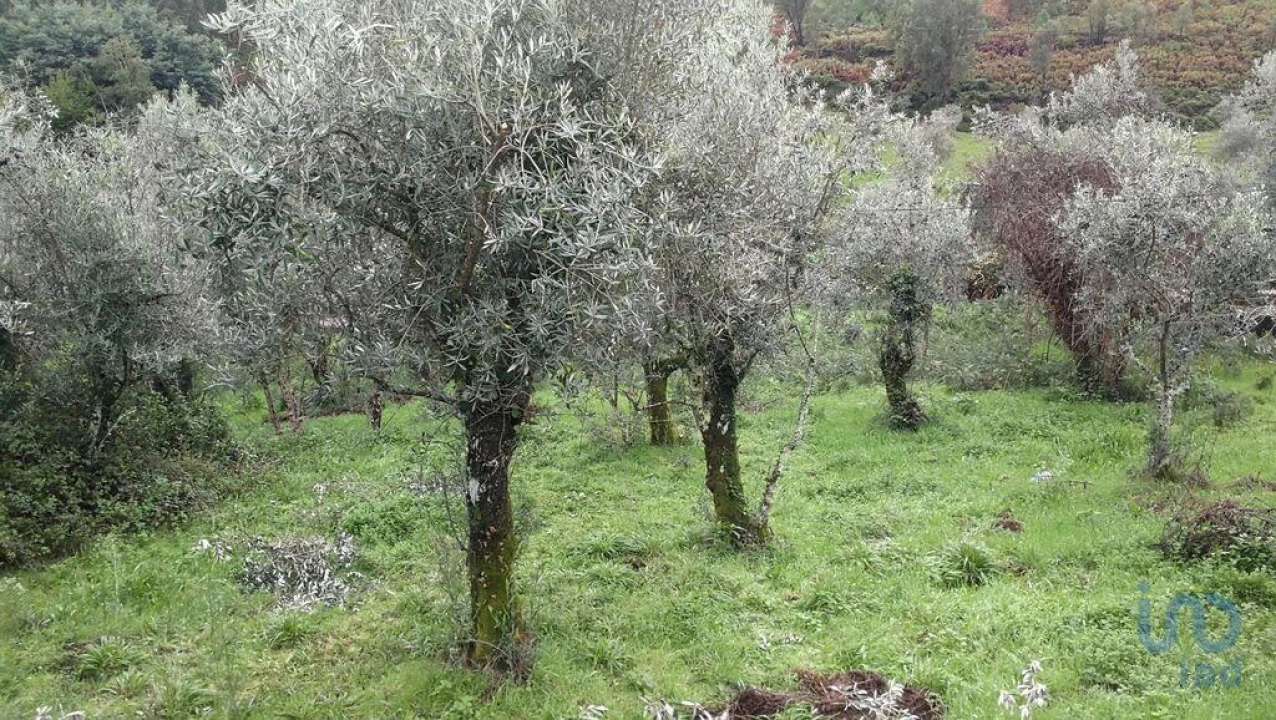 Moradia para Venda em Alvares Foto 12