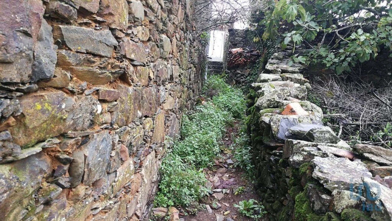 Moradia para Venda em Alvares Foto 3