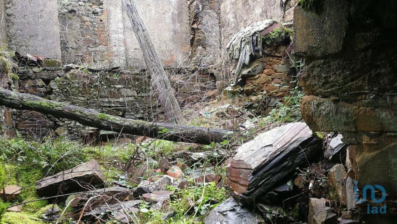 Moradia para Venda em Alvares Foto 7