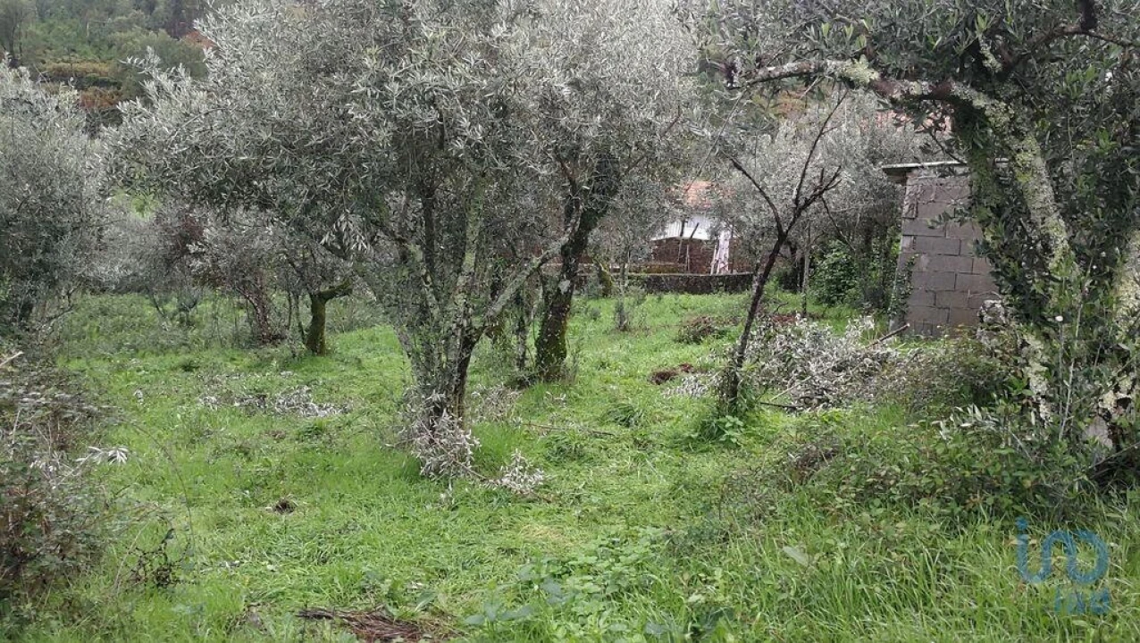 Moradia para Venda em Alvares Foto 10