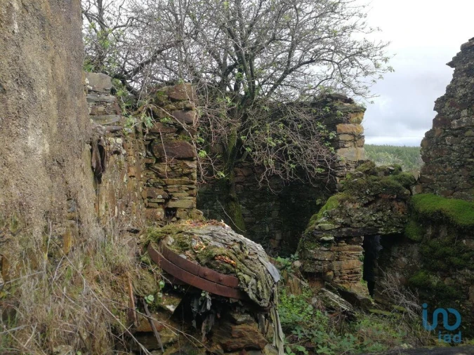 Moradia para Venda em Alvares Foto 2