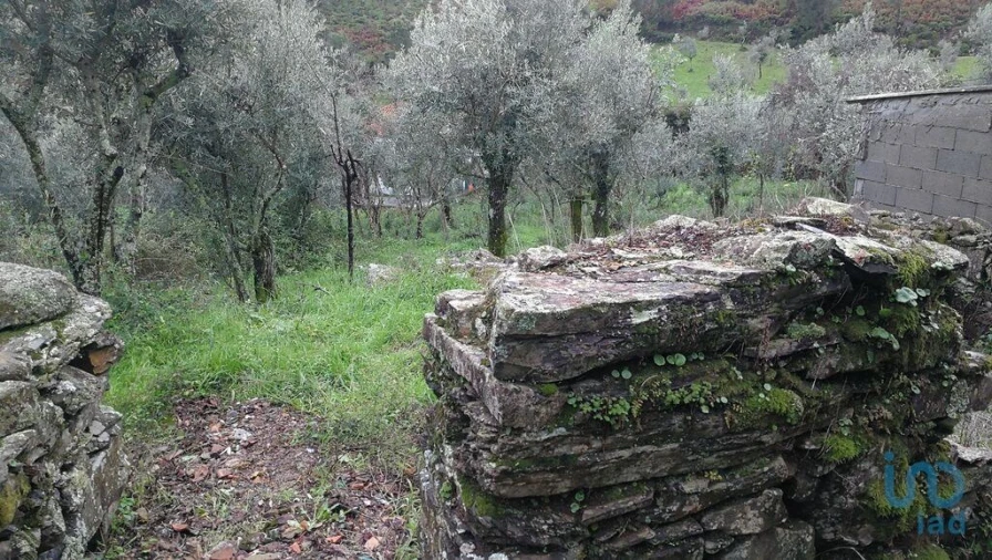 Moradia para Venda em Alvares Foto 14