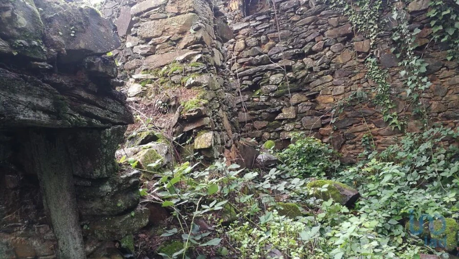 Moradia para Venda em Alvares Foto 6