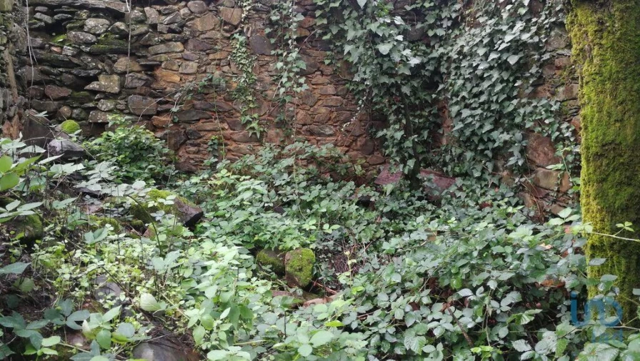 Moradia para Venda em Alvares Foto 4