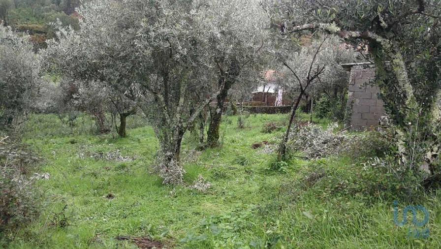 Moradia para Venda em Alvares Foto 10