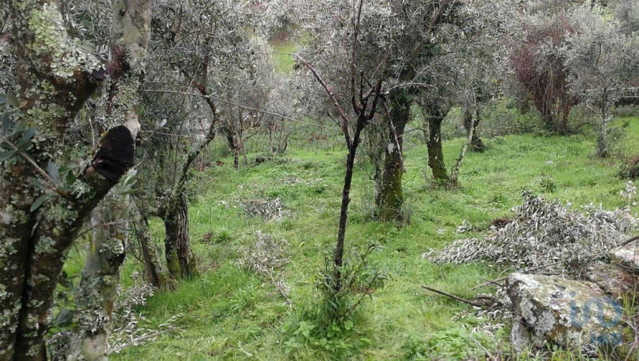 Moradia para Venda em Alvares Foto 11