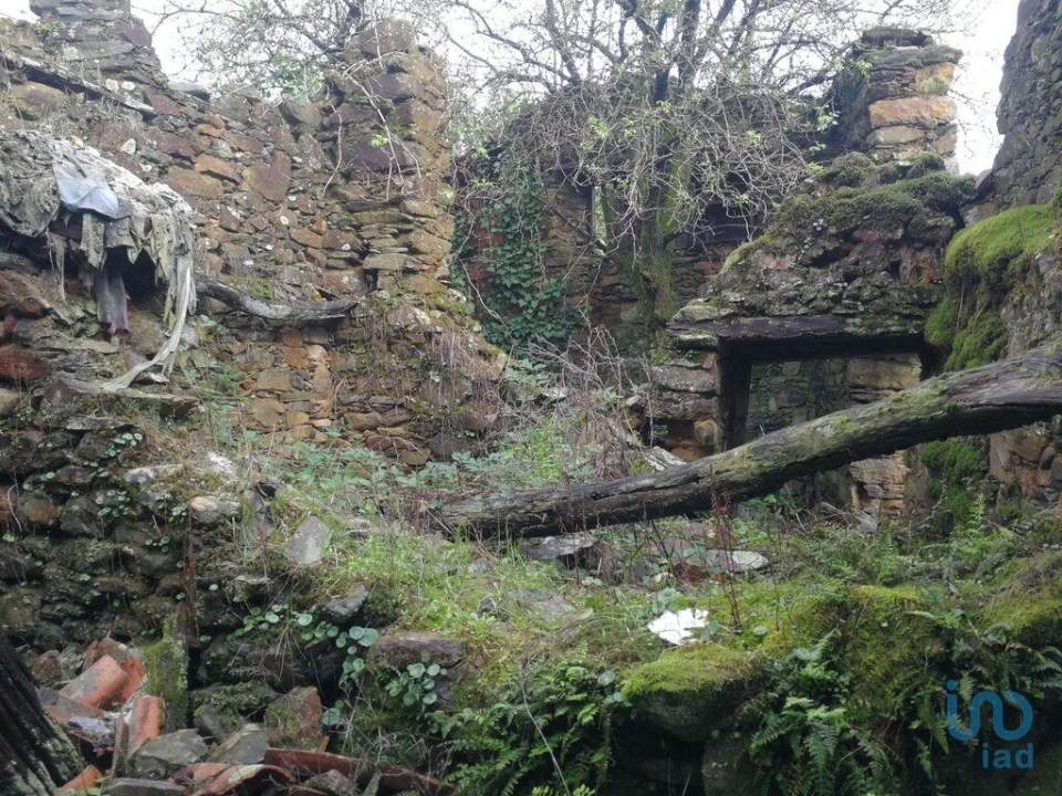 Moradia para Venda em Alvares Foto 1