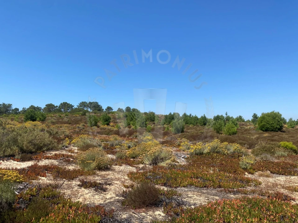 Terreno Agricola ou Rústico para Venda em Vila Nova de Milfontes Foto 3