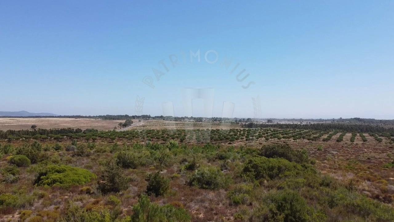 Terreno Agricola ou Rústico para Venda em Vila Nova de Milfontes Foto 5