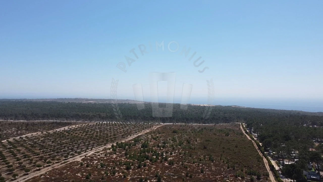 Terreno Agricola ou Rústico para Venda em Vila Nova de Milfontes Foto 8