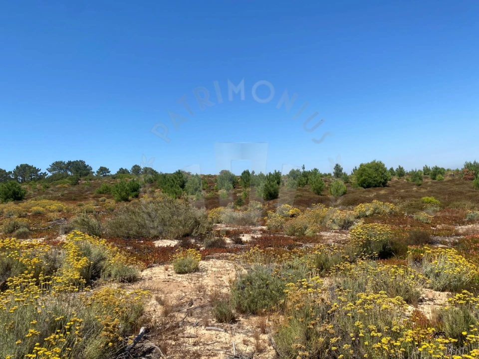 Terreno Agricola ou Rústico para Venda em Vila Nova de Milfontes Foto 18