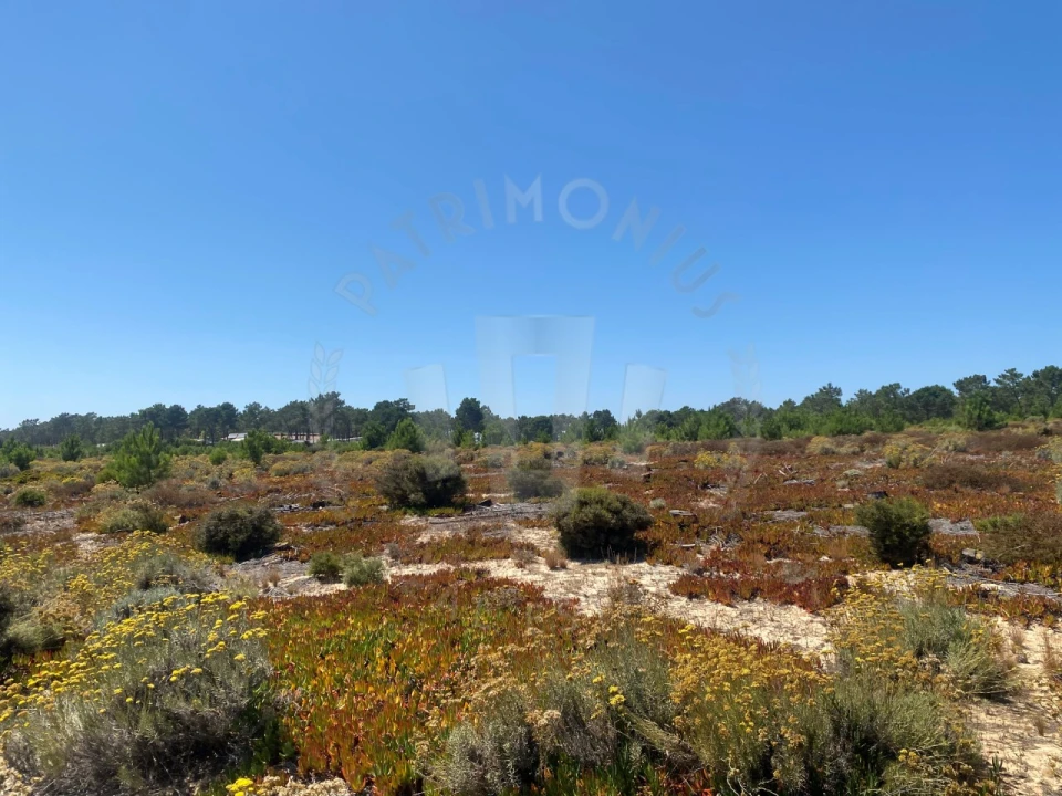 Terreno Agricola ou Rústico para Venda em Vila Nova de Milfontes Foto 21