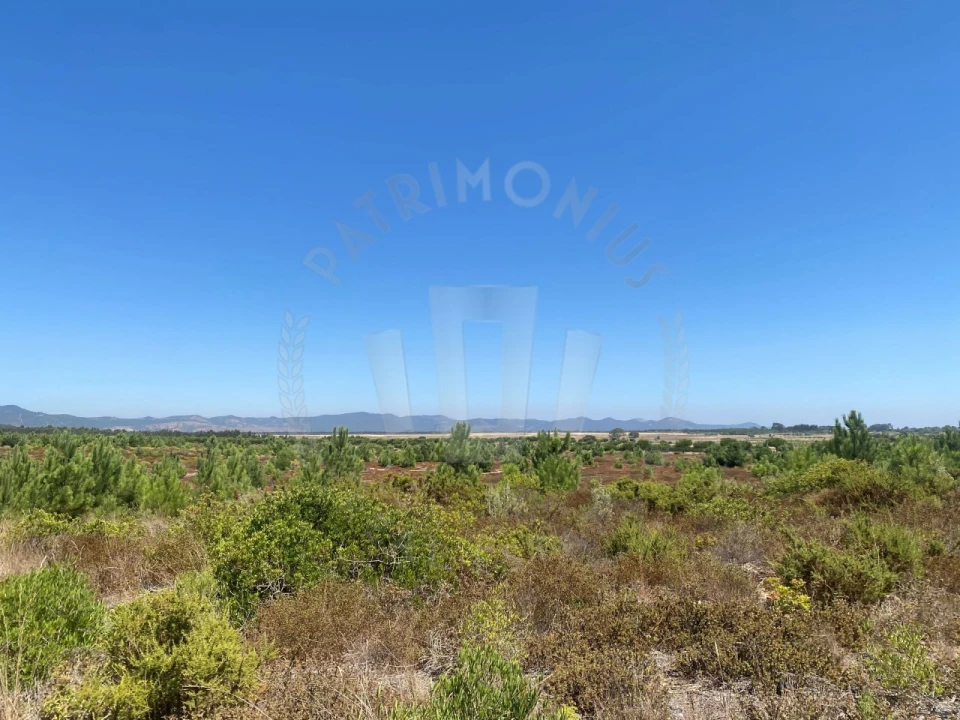 Terreno Agricola ou Rústico para Venda em Vila Nova de Milfontes Foto 22