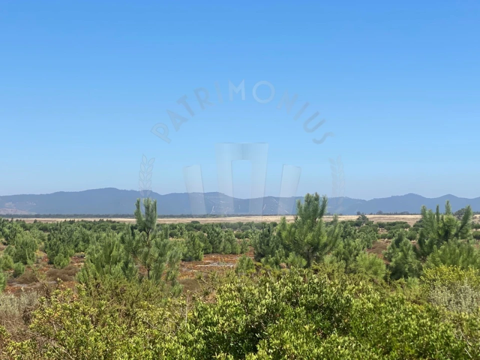 Terreno Agricola ou Rústico para Venda em Vila Nova de Milfontes Foto 24
