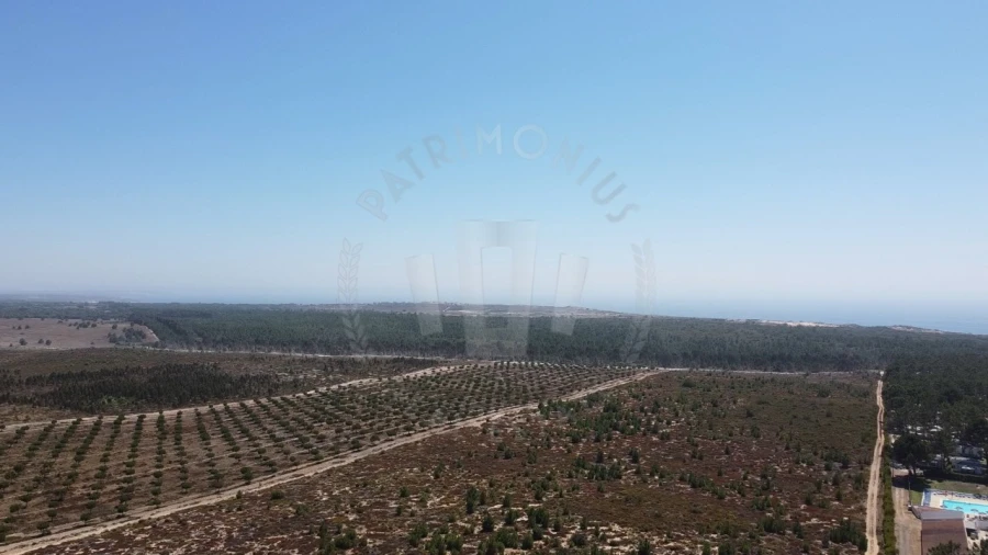 Terreno Agricola ou Rústico para Venda em Vila Nova de Milfontes Foto 7
