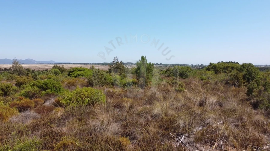 Terreno Agricola ou Rústico para Venda em Vila Nova de Milfontes Foto 14