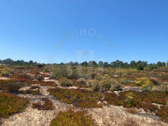 Terreno Agricola ou Rústico para Venda em Vila Nova de Milfontes Foto 17