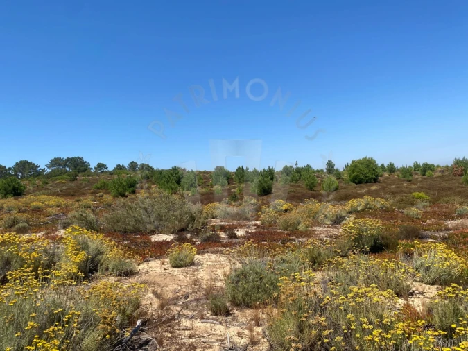 Terreno Agricola ou Rústico para Venda em Vila Nova de Milfontes Foto 18