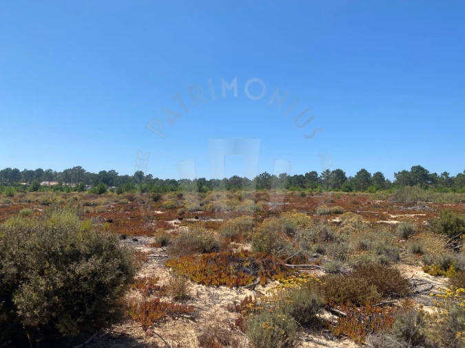Terreno Agricola ou Rústico para Venda em Vila Nova de Milfontes Foto 19
