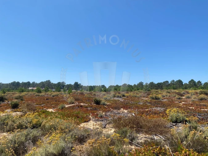 Terreno Agricola ou Rústico para Venda em Vila Nova de Milfontes Foto 20