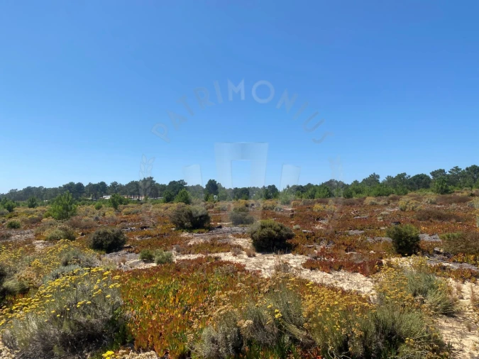 Terreno Agricola ou Rústico para Venda em Vila Nova de Milfontes Foto 21