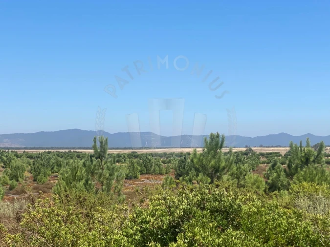 Terreno Agricola ou Rústico para Venda em Vila Nova de Milfontes Foto 24