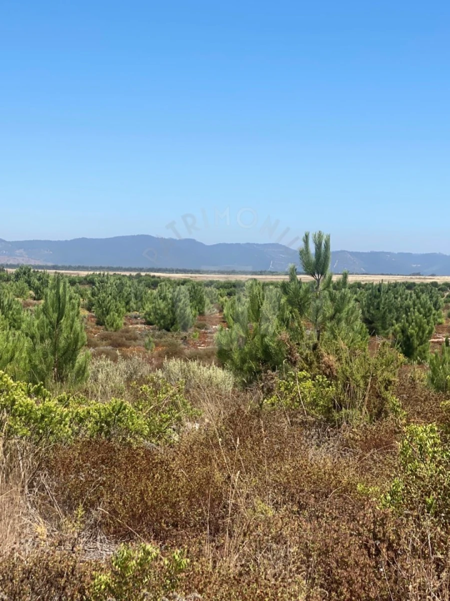 Terreno Agricola ou Rústico para Venda em Vila Nova de Milfontes Foto 25