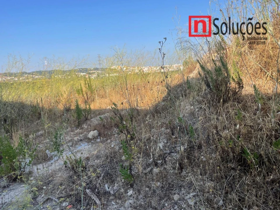 Terreno para Venda em Casal de Cambra Foto 14