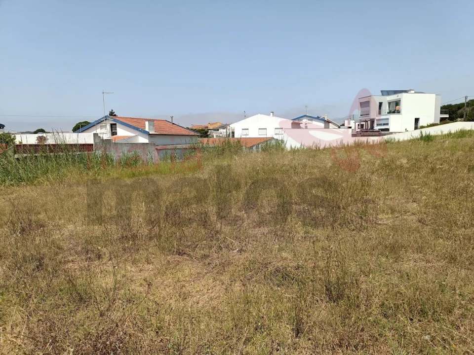 Terreno para Venda em Lourinhã e Atalaia Foto 6