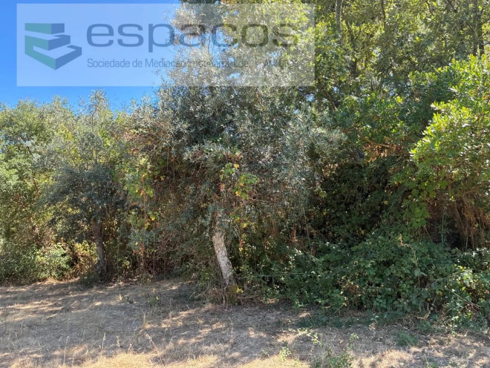 Terreno para Venda em Telhado Foto 6