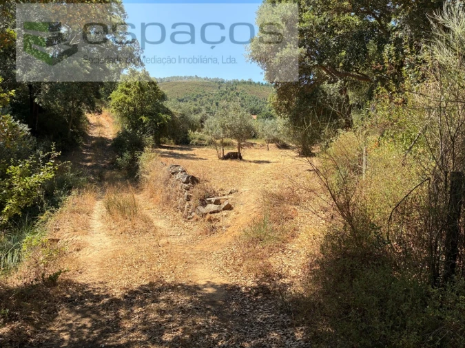 Terreno para Venda em Telhado