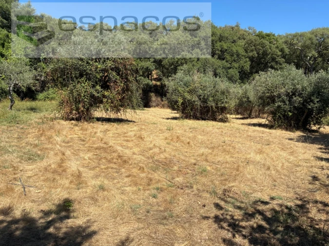 Terreno para Venda em Telhado Foto 2