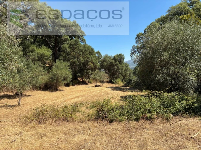 Terreno para Venda em Telhado Foto 6