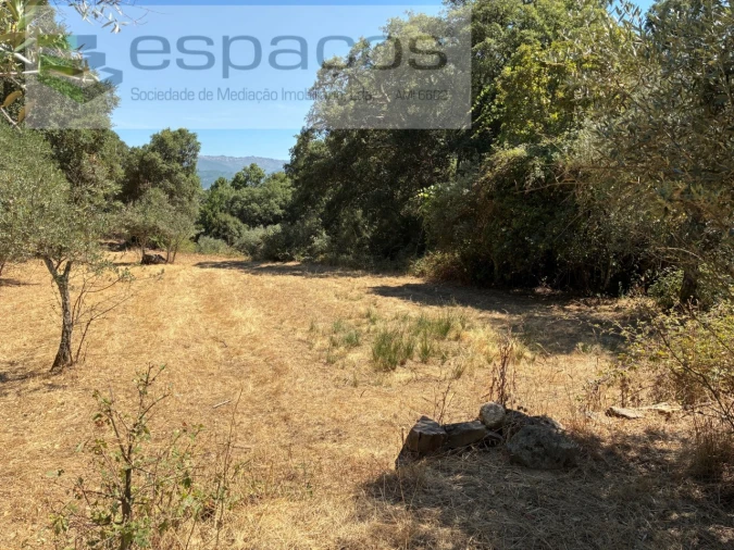 Terreno para Venda em Telhado Foto 7
