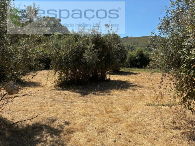 Terreno para Venda em Telhado Foto 8