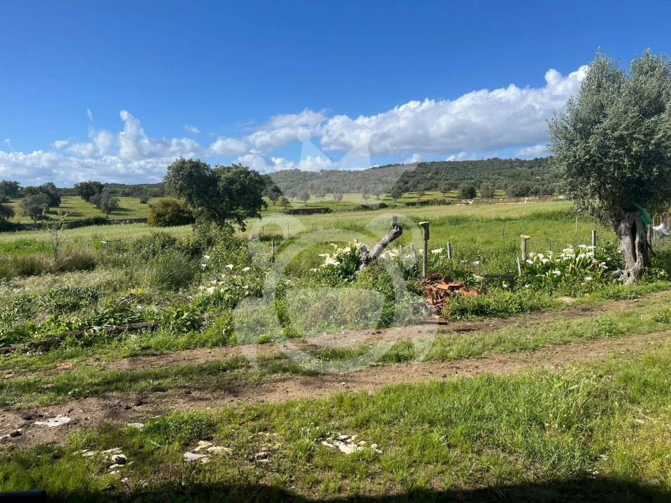 Terreno para Venda em Portel Foto 8