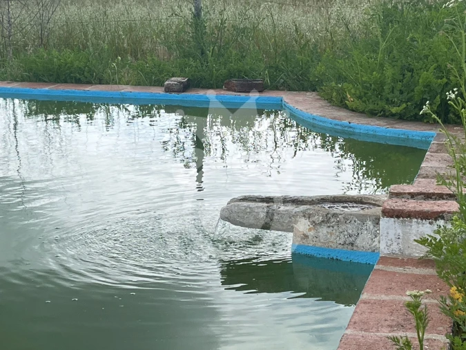 Terreno para Venda em Portel Foto 14