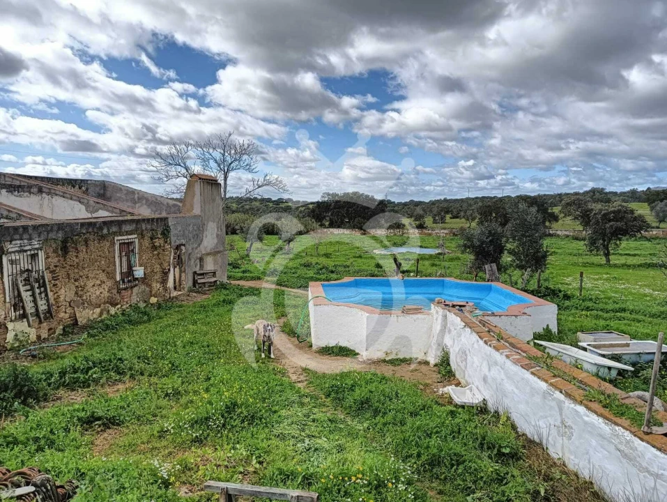 Terreno para Venda em Portel Foto 10