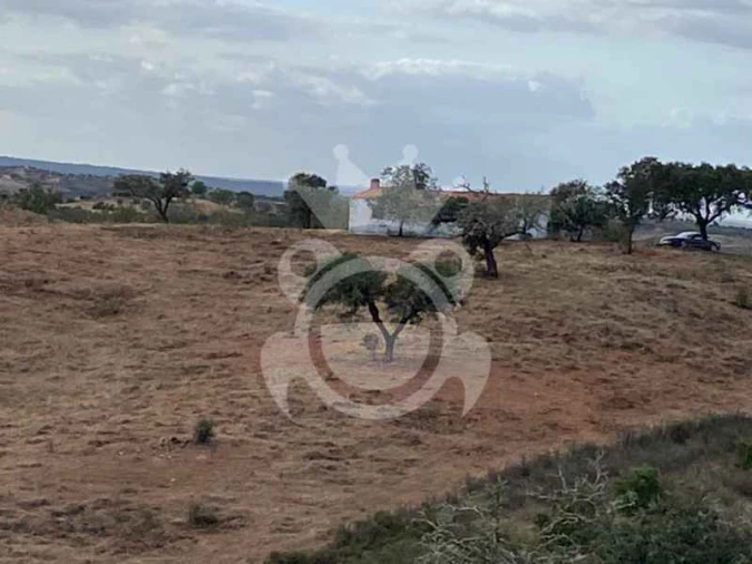 Quinta T0 para Venda em Serpa (Salvador e Santa Maria) Foto 3