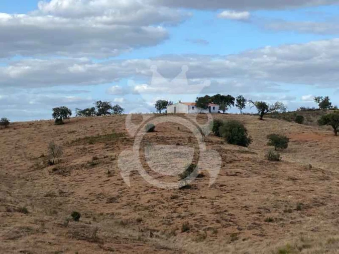 Quinta T0 para Venda em Serpa (Salvador e Santa Maria) Foto 2